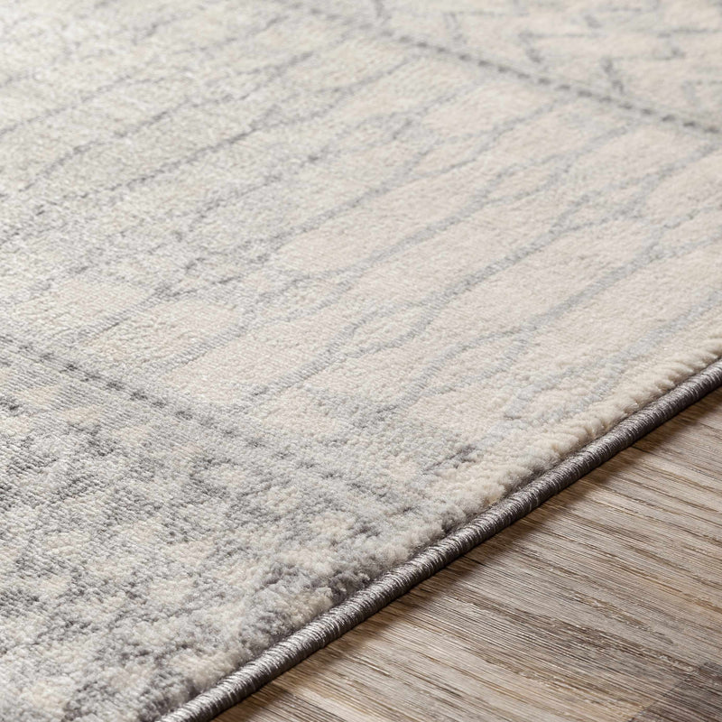 Nunda Gray Rug - Promo-4