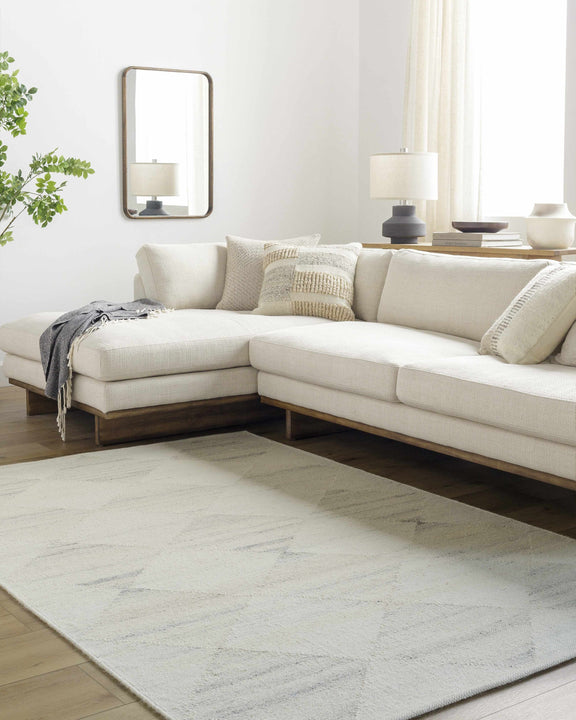 Rakin Ivory Area Rug-1